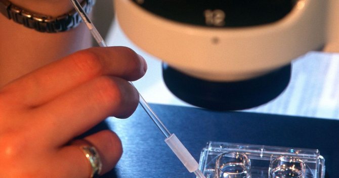 Фото:Может ли эко спровоцировать рак у женщины?