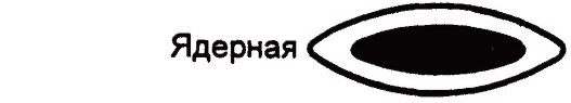 Ядерная катаракта Ядерная катаракта